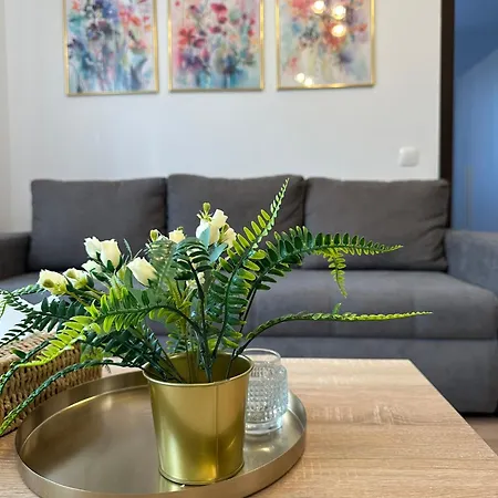 Apartment Casa Faustina Timisoara