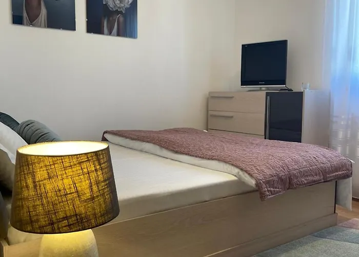 Casa Faustina Apartment Timisoara