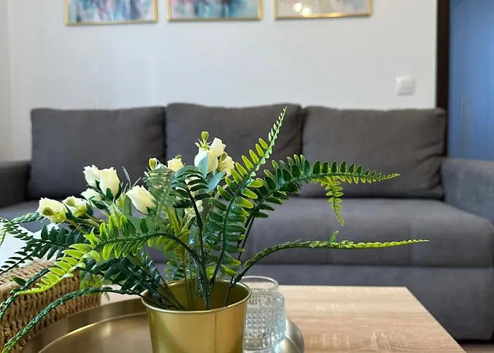 Apartment Casa Faustina Timisoara