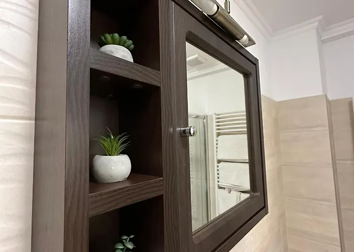 Casa Faustina * Timisoara